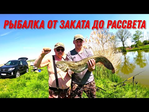 Видео: Рыбалка и битва от заката до рассвета!