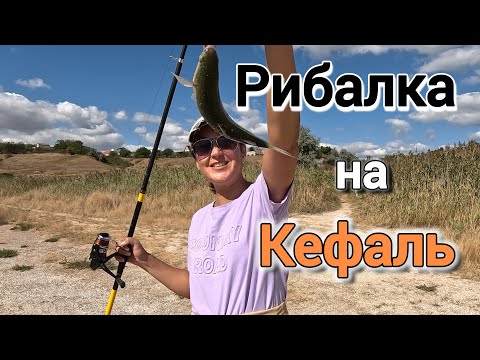 Видео: ДІВЧАТА ловлять КЕФАЛЬ на Тилігульському лимані. Де БИЧОК?