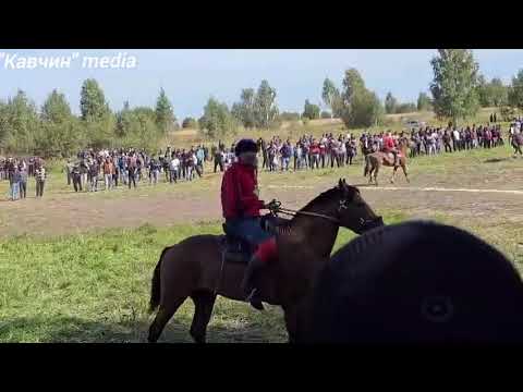 Видео: бузкаши🐎 купкари г МОСКВА район РАМЕНСКИЙ. 14.09.2025