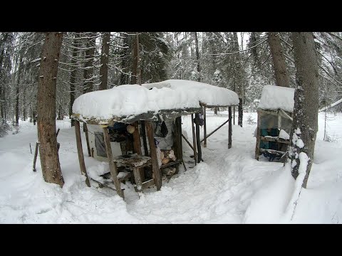 Видео: ЖИВУ в ЛАЧУГЕ. ЛЕСНОЙ БИЧ ЛЁХА. Рыбачу на двух озёрах.