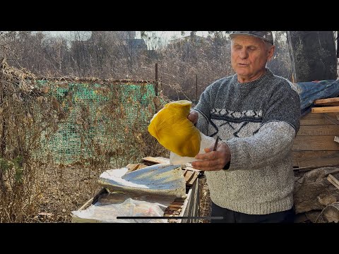 Видео: Весенний старт пчелиной семьи: как разогнать матку на максимум!