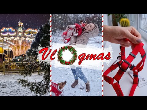 Видео: VLOGmas: Прогулка в Снегопад, Распаковка Зимней Амуниции и Новогодний Парк | Darina Sweet