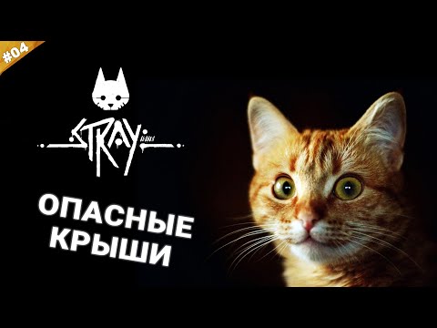 Видео: ОПАСНЫЕ КРЫШИ | Прохождение STRAY на русском языке | Часть 04