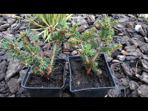 Видео: Розпаковка посилки від Бережнюк. Що замовила?