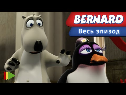 Видео: Бернард - 80 - Выставка | Мультфильмы |