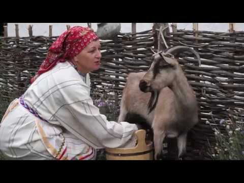 Видео: Заветы старины глубокой. Купино.