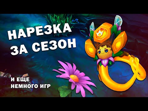 Видео: Кратко за сезон || Ягодная нарезка