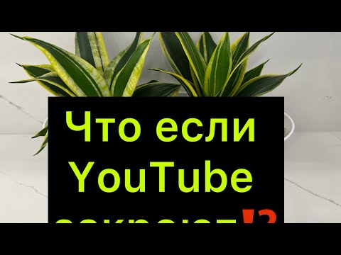 Видео: Пересадка-болталка / Что если YouTube закроют ￼