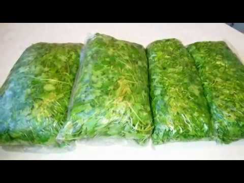 Видео: Ինչպես պահել կանաչին սառցախցիկում.Зелень на зиму | Как сохранить Свежей и Правильно заморозить.