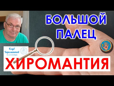 Видео: Большой палец в хиромантии. О каких чертах характера он говорит. #хиромантия #психология #хиромант