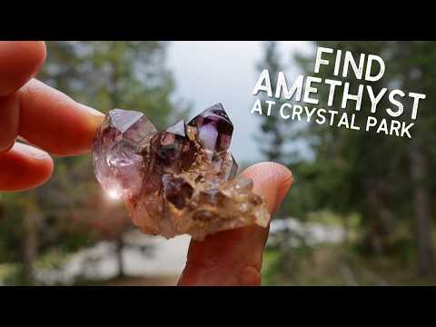 Видео: НАЙДИТЕ АМЕТИСТ И ДЫМЧАТЫЙ КВАРЦ в CRYSTAL PARK в Монтане | Лучшие советы по добыче кристаллов