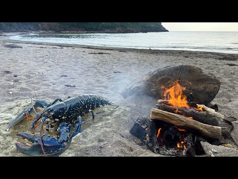 Видео: Ловите и готовьте лобстеров на пляже