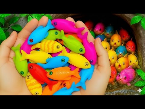 Видео: Поймайте в небольшом пруду разноцветных декоративных рыбок, золотых рыбок, маленьких черепашек, п...