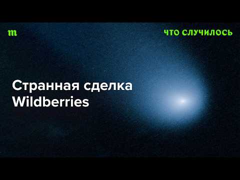 Видео: Какие планы у Кремля на Wildberries?