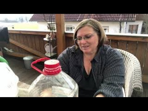 Видео: Размножаем эффективные микроорганизмы легко сами!