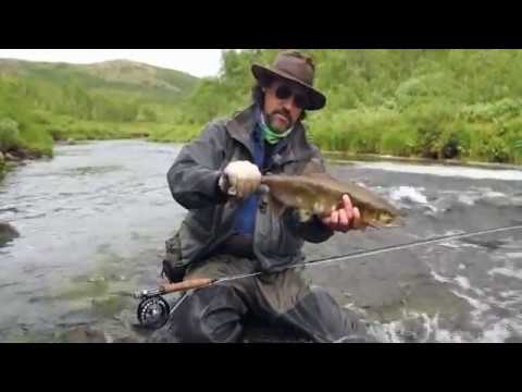 Видео: Ловля семги и горбуши нахлыстом на Кольском полуострове #25