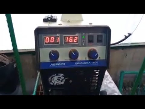 Видео: АВРОРА ДИНАМИКА 1600, 7 месяцев. Отзыв.