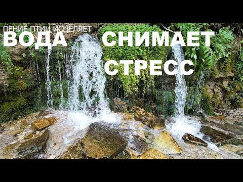 Видео: ШУМ ВОДОПАДА И ПЕНИЕ ПТИЦ ОЧИСТИТ ВАС ОТ НЕГАТИВНЫХ МЫСЛЕЙ,ВОДА СМОЕТ СТРЕСС.ИСЦЕЛЕНИЕ НЕРВОВ.