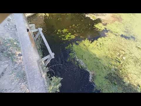 Видео: Гайсин отстойники сахарозавода 2022