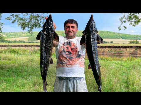 Видео: 2 ОГРОМНЫХ ОСЕТРА! Как приготовить Осетрину на Мангале?