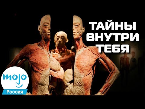 Видео: ТОП 10 Загадок Человеческого Тела, Которые Вас Шокируют