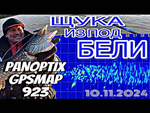 Видео: ЧТО ВИДНО В PANOPTIX? ЩУКА из под БЕЛИ и ЕЁ ПОВАДКИ ОСЕНЬЮ. 10.11.2024.