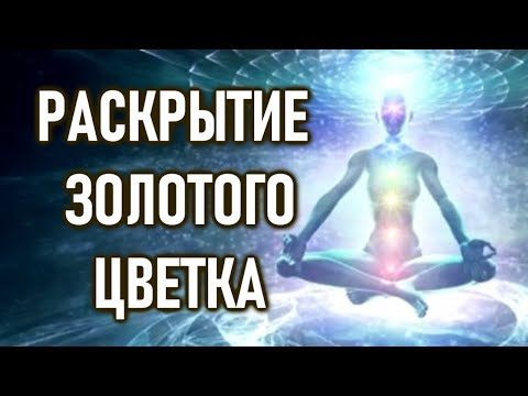 Видео: Принципы Света: Как раскрывается Золотой Цветок | ОШО