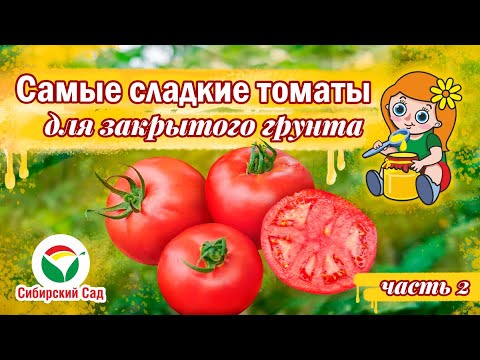 Видео: Сладкие томаты для закрытого грунта серии "Сахар и мёд" от агрофирмы "Сибирский сад"