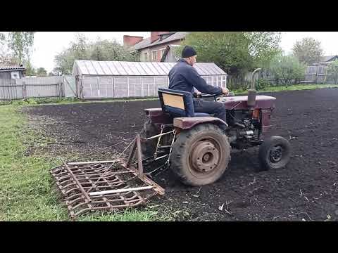 Видео: Сею гарчицу на сидерат