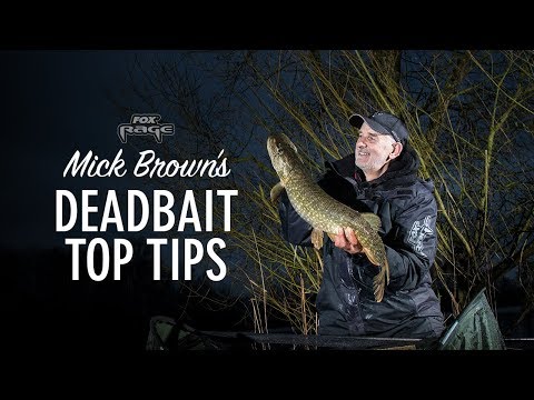 Видео: ***FOX RAGE TV*** СОВЕТЫ МИККА БРАУНА ПО МЕРТВОЙ ПРИМАНКЕ