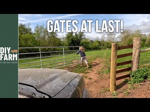 Видео: Какие столбы для забора лучше всего использовать? — Креозотовые, обработанные или из твёрдой древ...