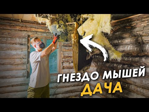 Видео: 🏠РЕМОНТ СТАРОГО ДОМА. ВСКРЫЛИ СТЕНЫ, А ТАМ🪲