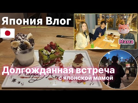 Видео: [Жизнь в Японии]Япония Влог Долгожданная встреча с японской мамой. Поход в магазин.