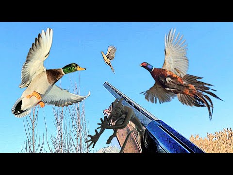 Видео: ✨️ХОРОШИЕ МОМЕНТЫ ОХОТЫ 2024🏹✨️