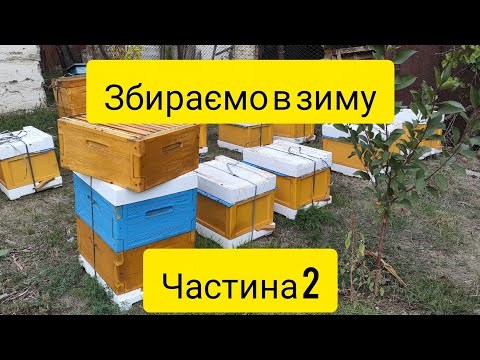 Видео: Збираємо в зиму ч2