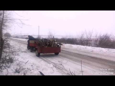 Видео: Муравей с двигателем мопеда Альфа