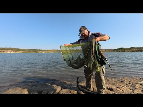 Видео: Выезд с фидерами на Бердянское водохранилище. Пробую флэт на леща 03 09 2025