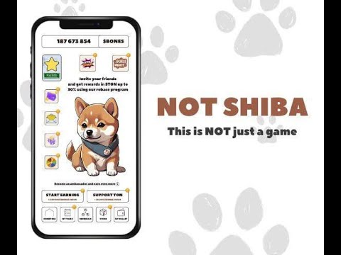 Видео: Not Shiba! бесплатно "Колесо Фортуны" и выигрывайте токены $NOT или $DOGS