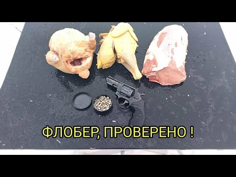 Видео: Флобер против баллистических кур и баллистической корейки