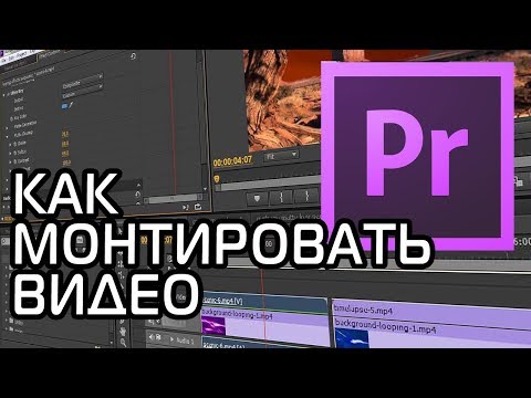 Видео: КАК МОНТИРОВАТЬ ВИДЕО | Adobe Premiere Pro Урок #1