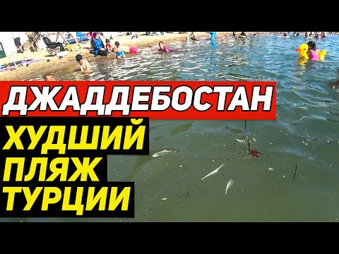 Видео: Ужасный пляж Стамбула. Дегустирую бараньи кишки