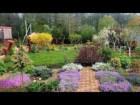 Видео: Дача в конце апреля  прекрасна, спору нет!!!🌞🌲🌸🍀🤗