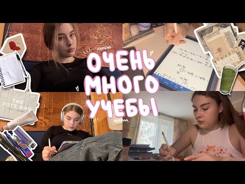 Видео: пытаюсь выжить, готовясь к ЕГЭ по химии и биологии ୨୧ до ЕГЭ 91 день 💀 study with me