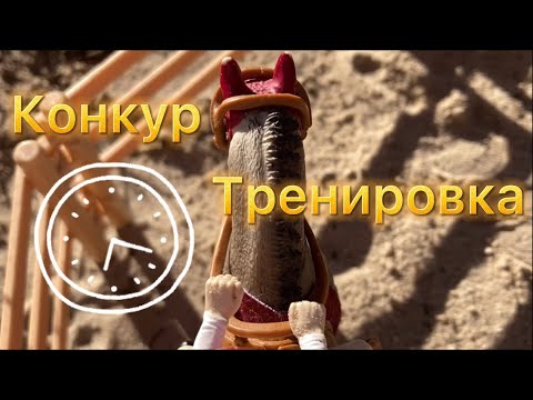 Видео: Тренировка Лизы и Агаты лошади шляйх/ Schleich