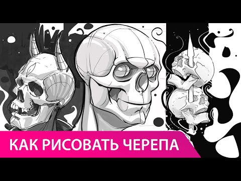 Видео: Как рисовать череп человека. Часть 1