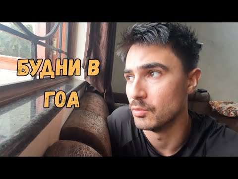 Видео: БУДНИ В ГОА : Как я поехал за майонезом и узнал всё о приютах для собак в Гоа 🐶