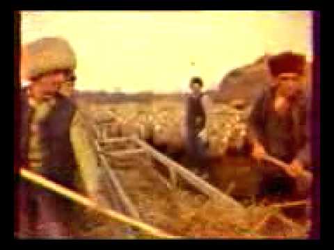 Видео: Первый совхоз, татаюртовцы
