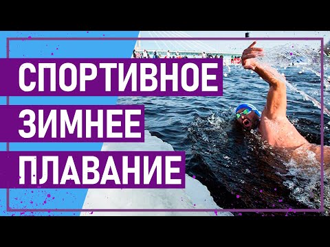 Видео: Вот это спорт! СПОРТИВНОЕ ЗИМНЕЕ ПЛАВАНИЕ