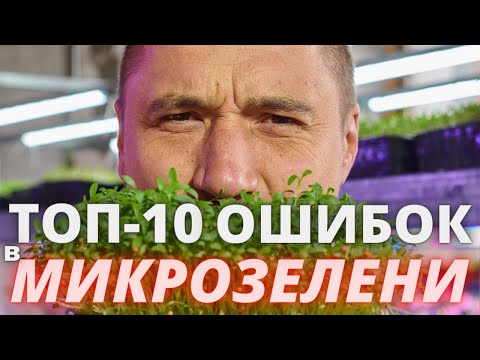 Видео: Микрозелень  Как не надо делать ! ТОП 10  главных ошибок от Зеленого Шефа папы Микрозелени СНГ