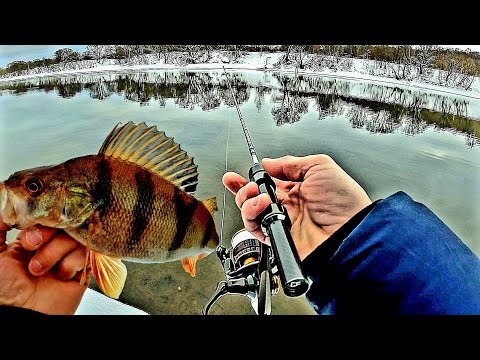 Видео: Мормышинг, Микроджиг c CF Nano Zero Air 0.2-1.5. Как я затаскивал рыбу на лёд. #срыбалки